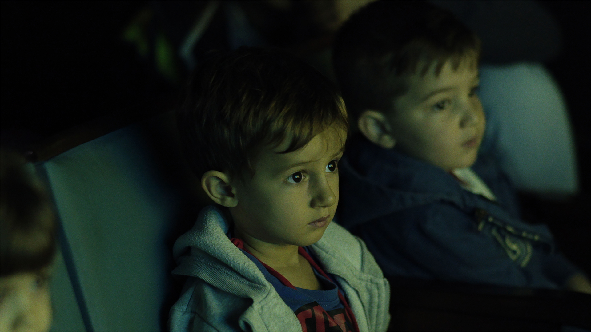 A History of the Film Spectator - Vende-se Filmes